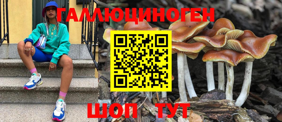 Галлюциногенные грибы прущие грибы Старая Купавна