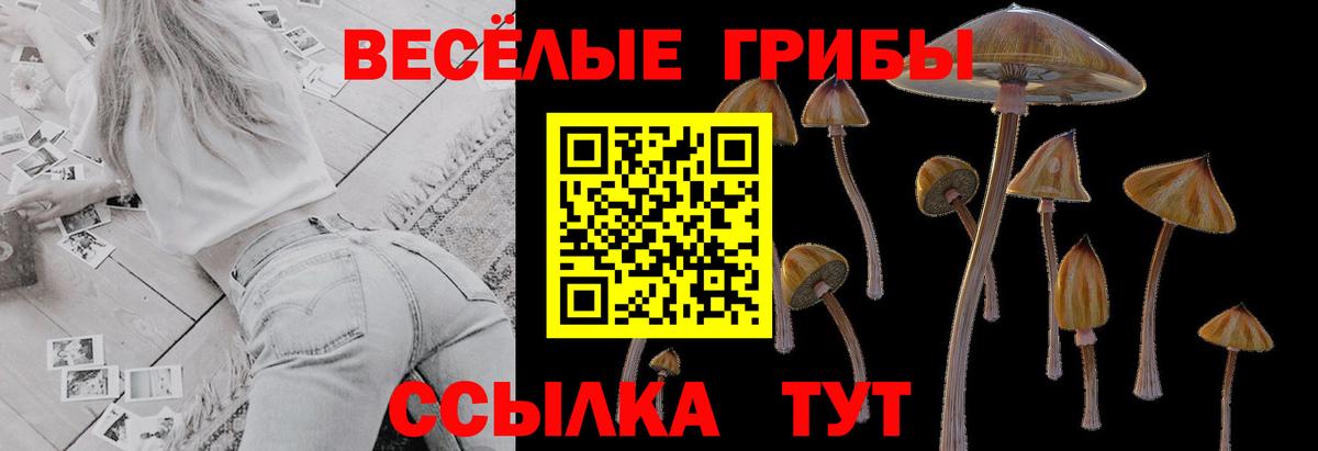 Галлюциногенные грибы мухоморы  цены наркотик  Псилоцибиновые грибы Magic Shrooms  Старая Купавна  Вход с VPN 
